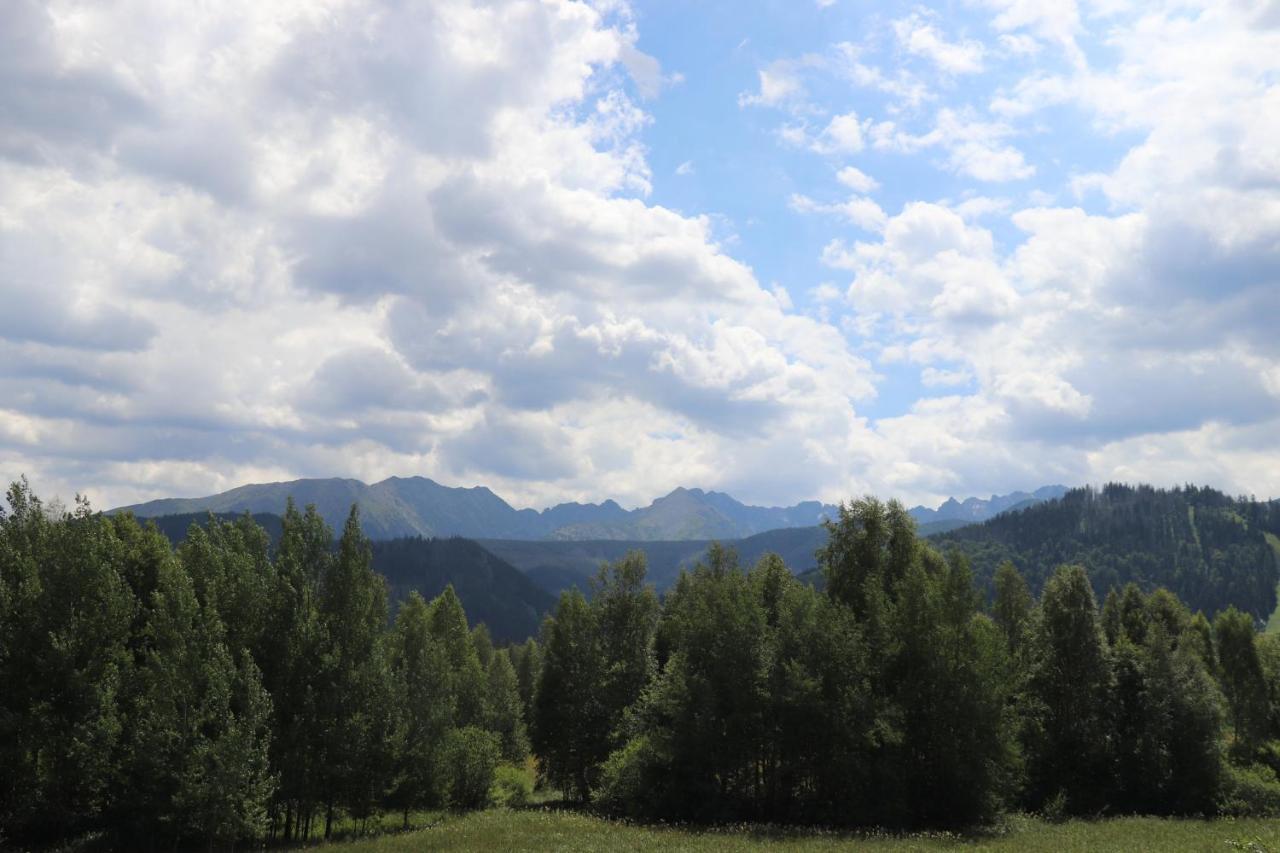 Apartamenty Pardalowka 50 Zakopane Exterior photo